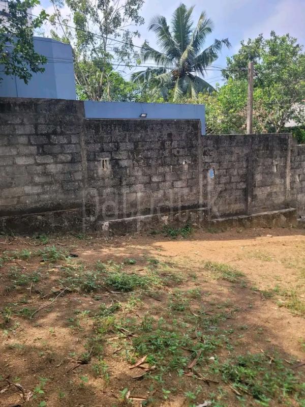 Residential Land for Sale in Kandana