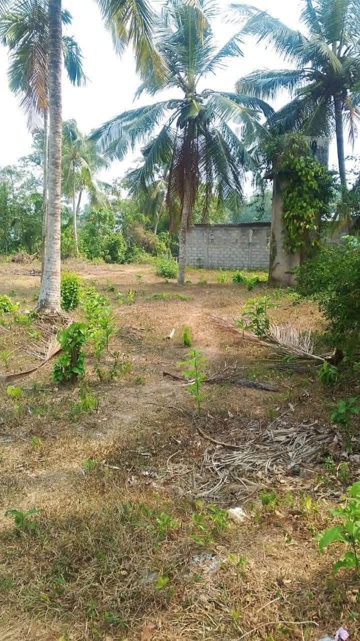 Commercial Land for Sale in Kadawatha