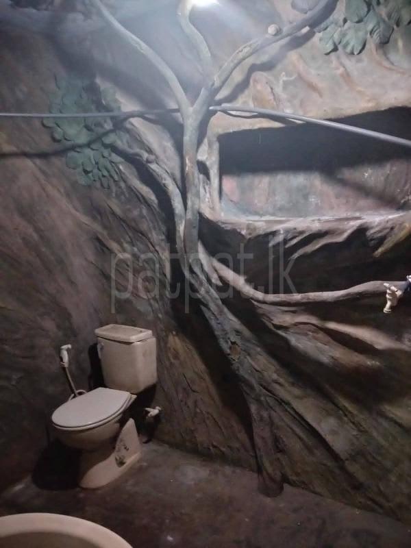 House for Sale in Piliyandala