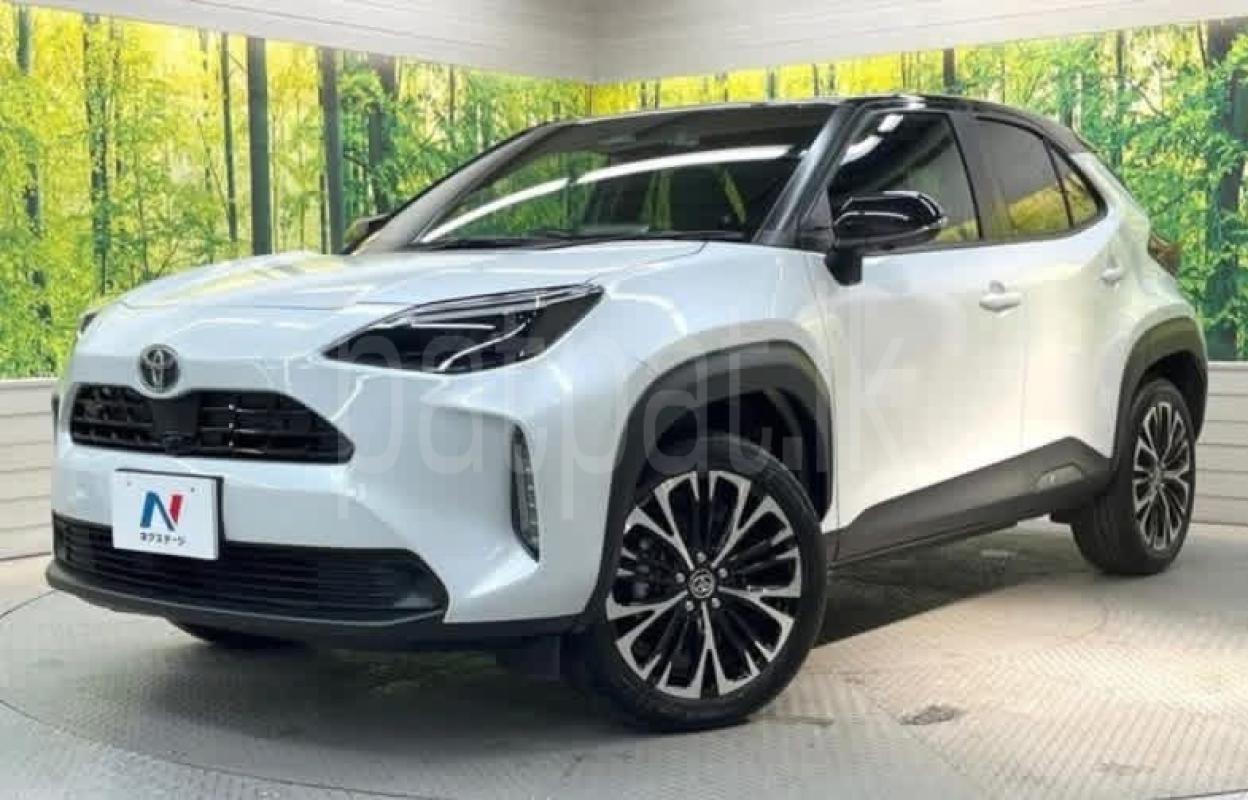 Advertisement image 3