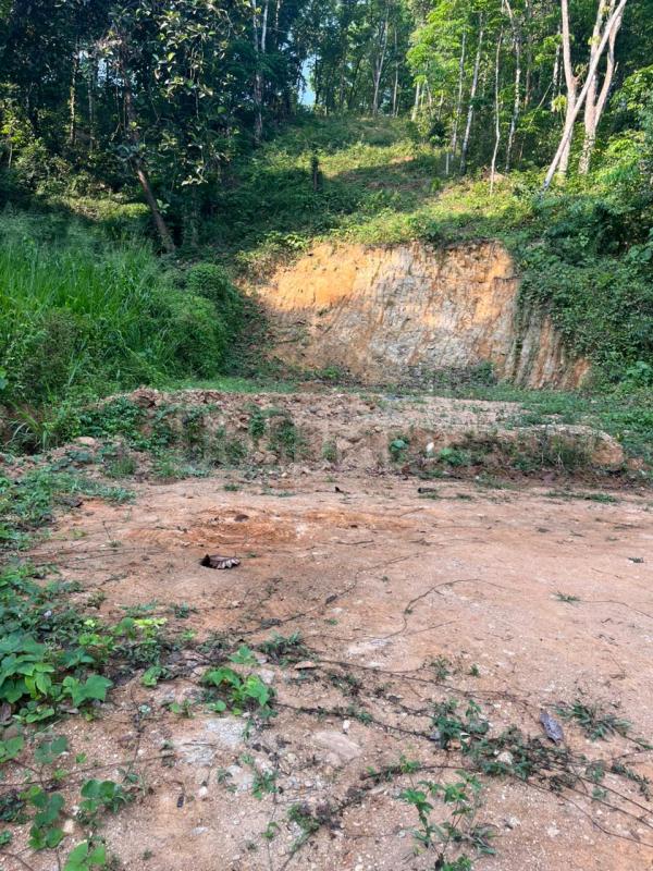 Commercial Land for Sale in Galigamuwa Town