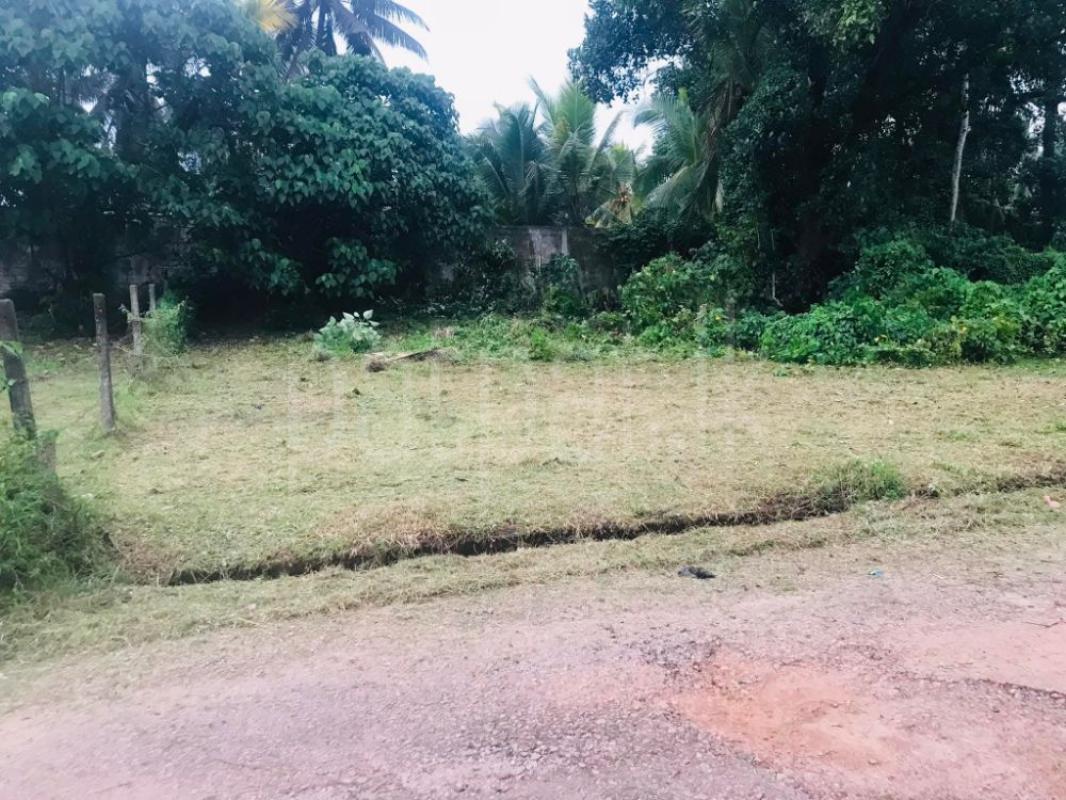 Commercial Land for Sale in Panadura ads-image-1