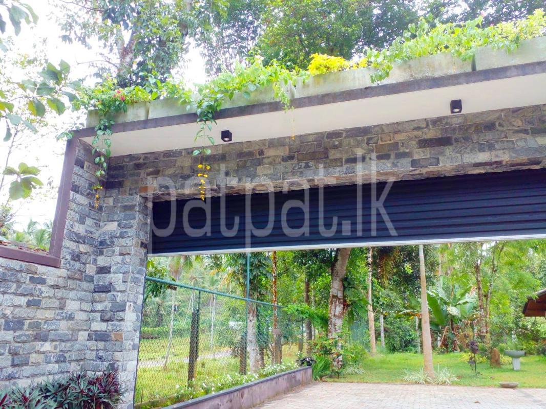 Advertisement image 4