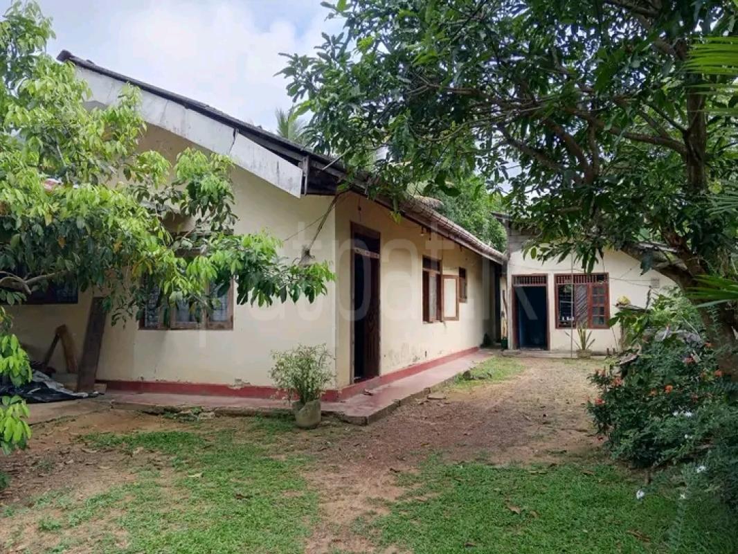 House for Sale in Piliyandala