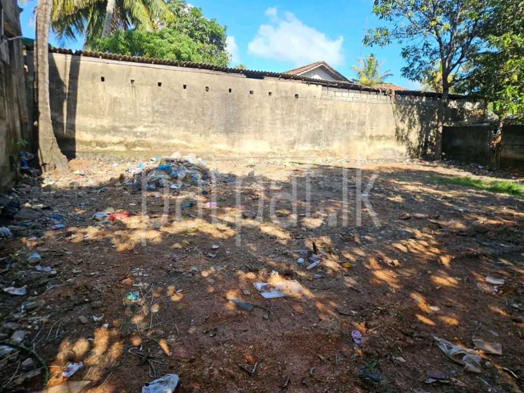 Agricultural Land for Sale in Mawathagama