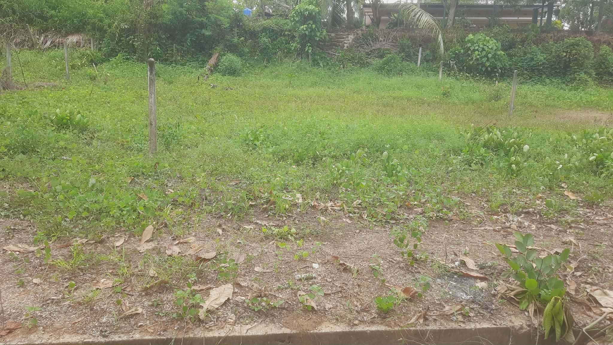 Residential Land for Sale in Homagama