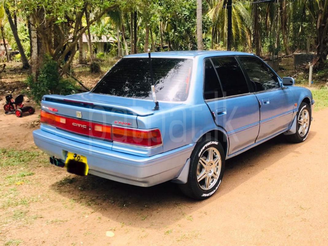 Advertisement image 3