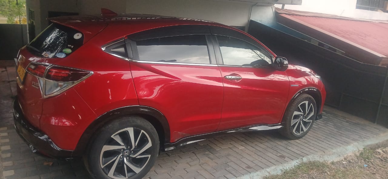 Advertisement image 1