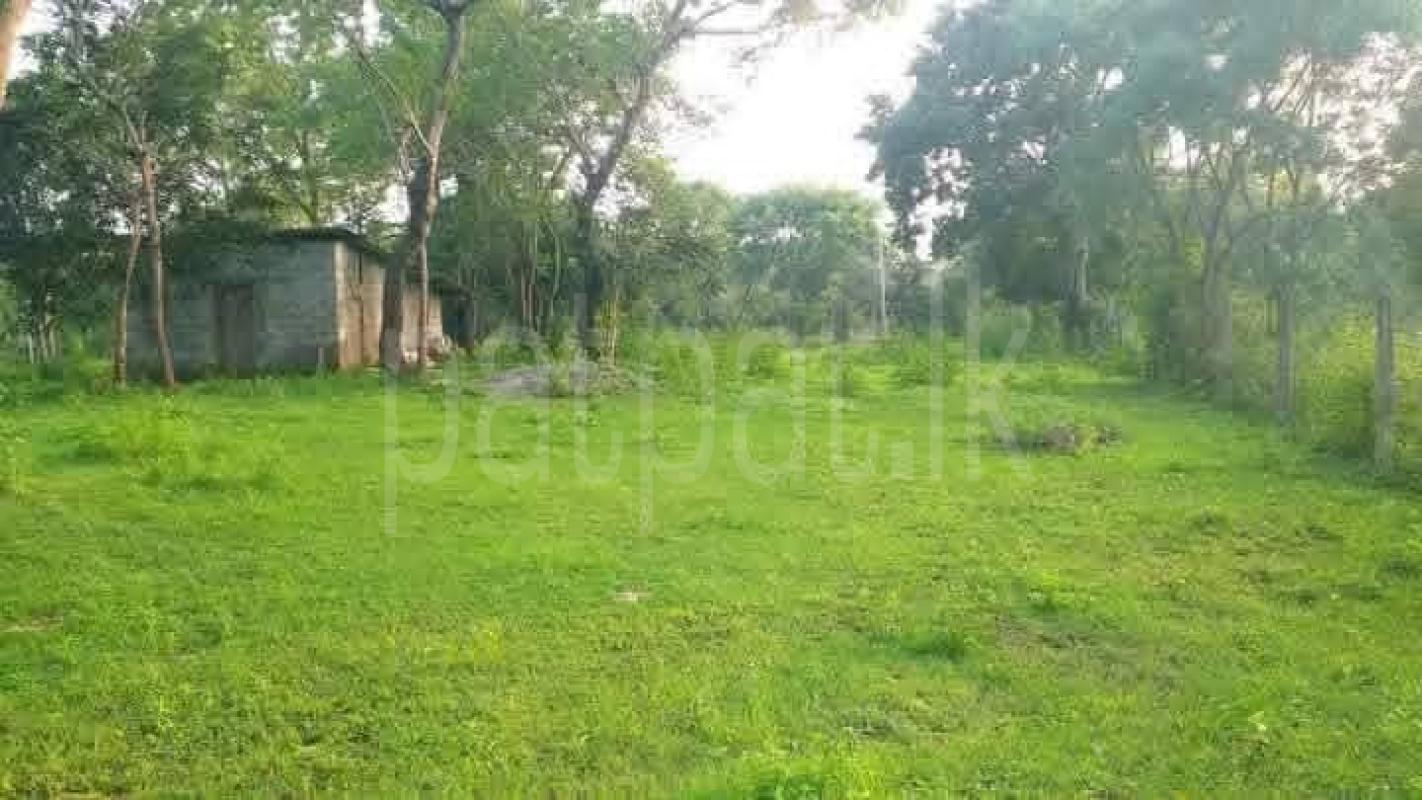 Advertisement image 5