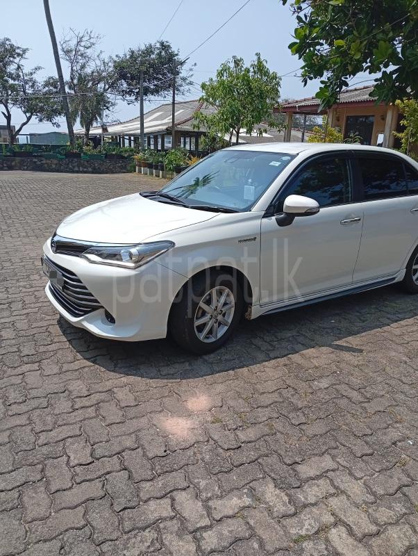 Advertisement image 3