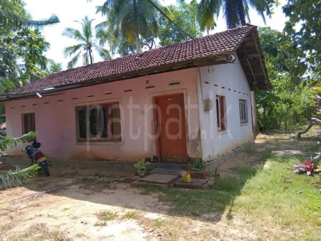 Advertisement image 1