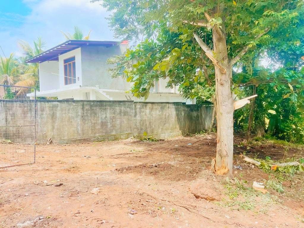 Agricultural Land for Sale in Panadura