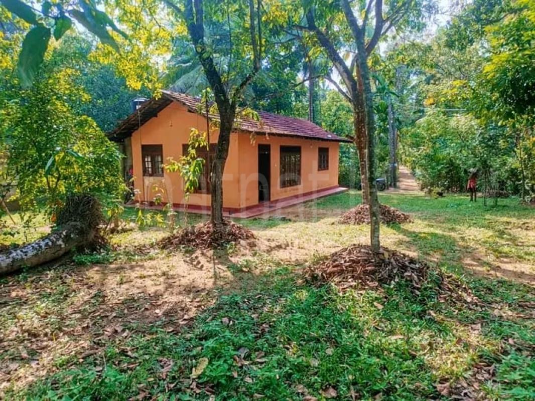  Land for Sale in Nittambuwa