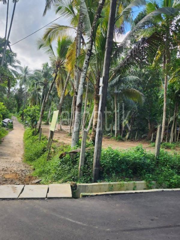 Residential Land for Sale in Horagala
