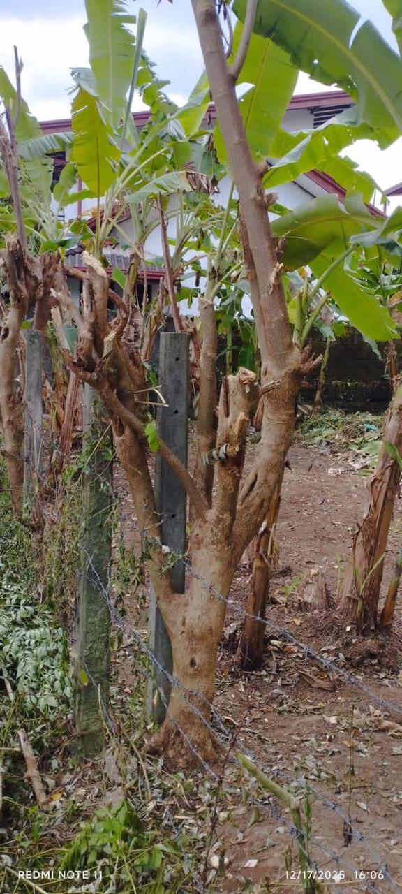 Commercial Land for Sale in Pannipitiya