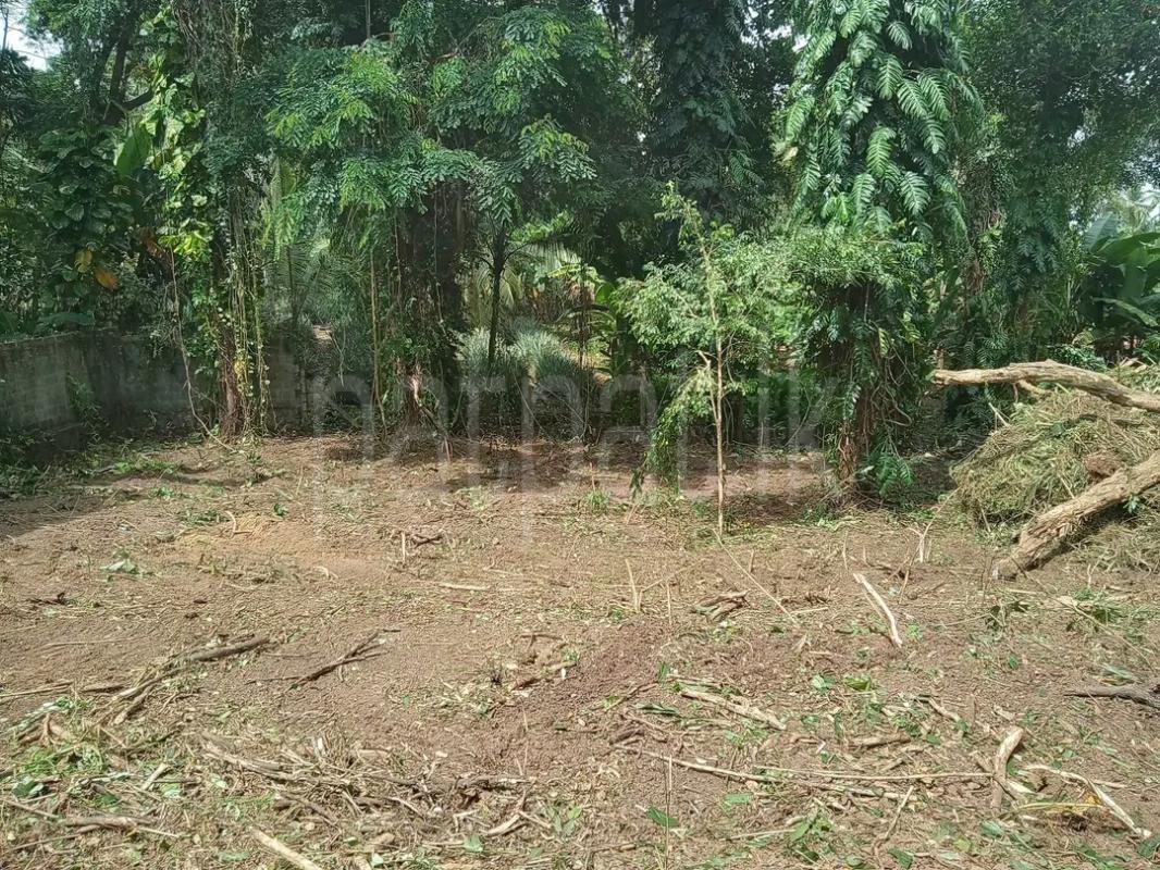 Commercial Land for Sale in Kandana