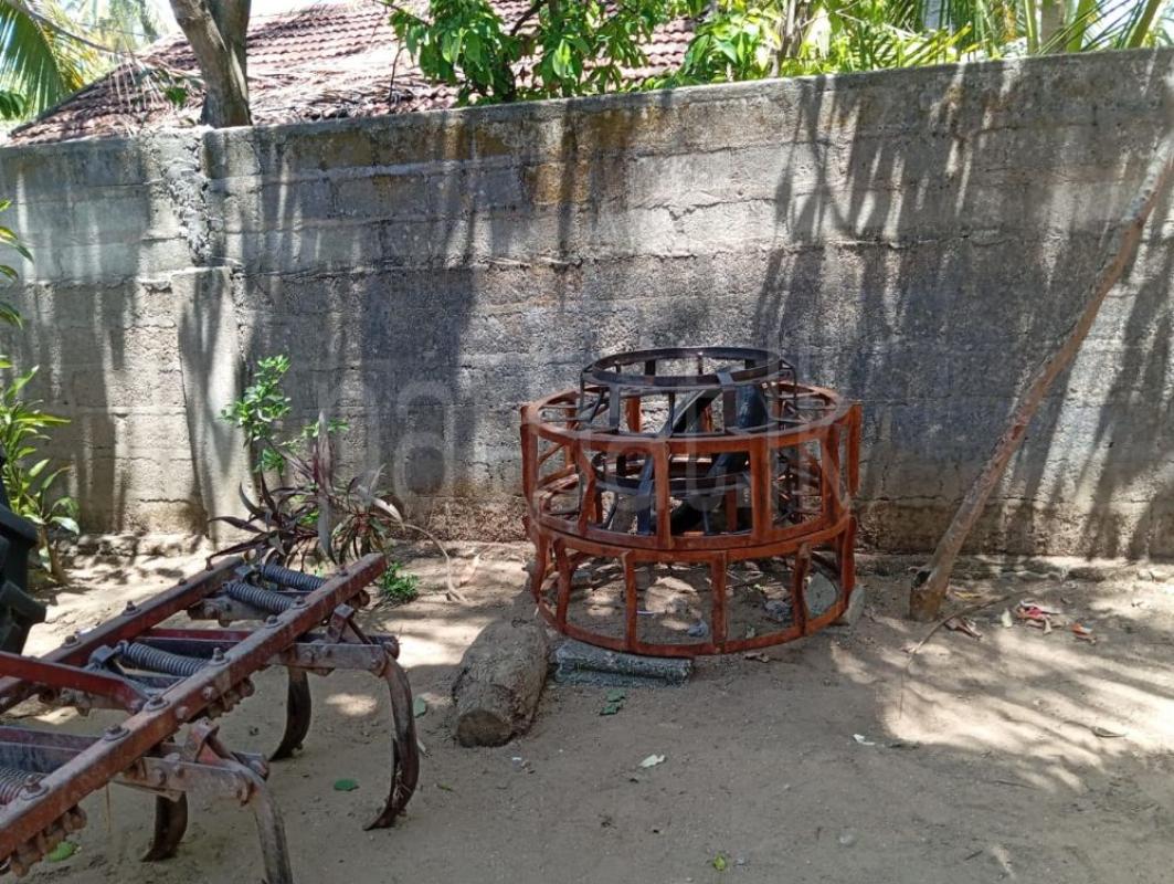 Advertisement image 6