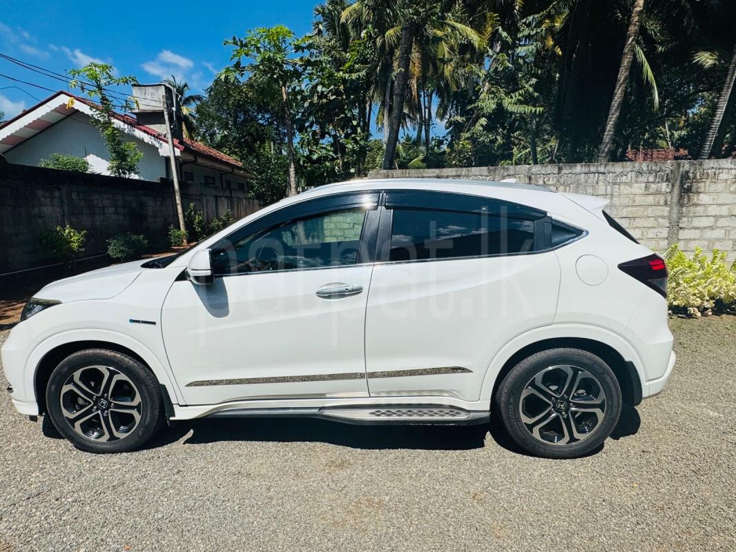 Advertisement image 6