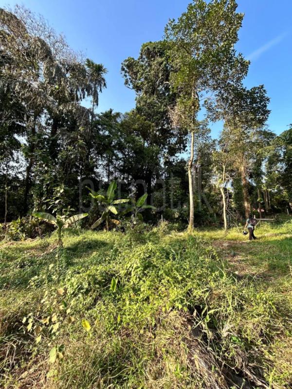 Commercial Land for Sale in Kaduwela ads-image-1