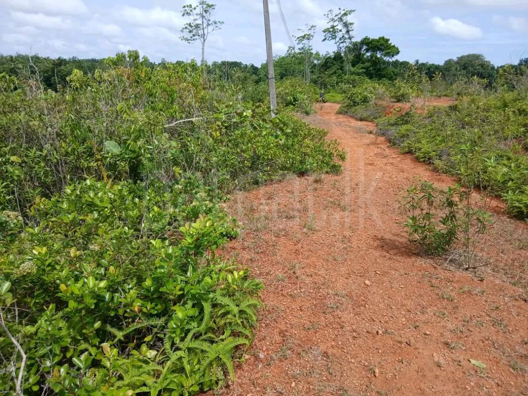 Agricultural Land for Sale in Kolonnawa