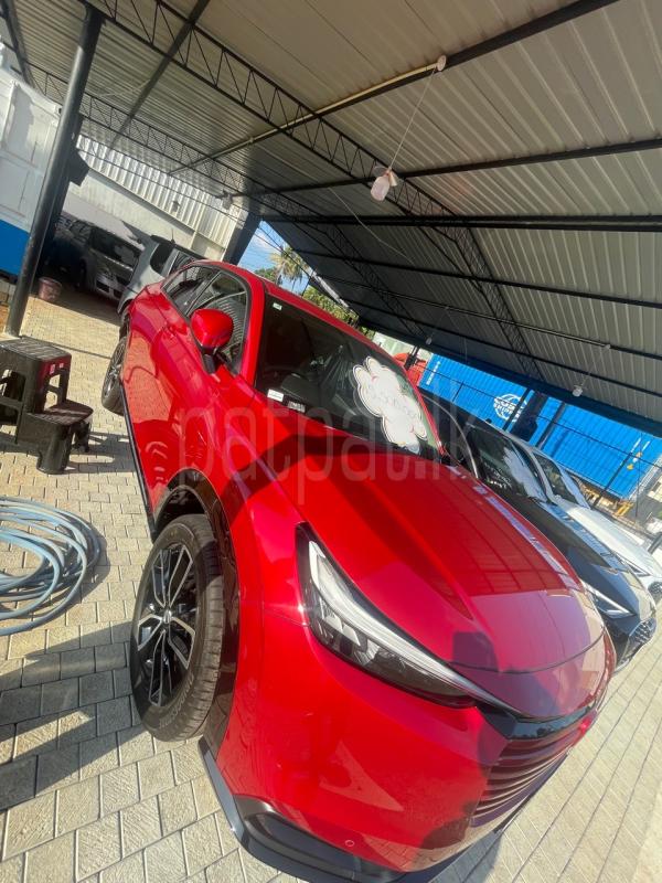 Advertisement image 3