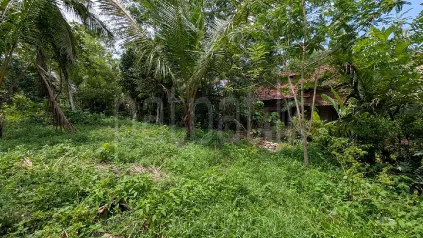 Commercial Land for Sale in Gampaha