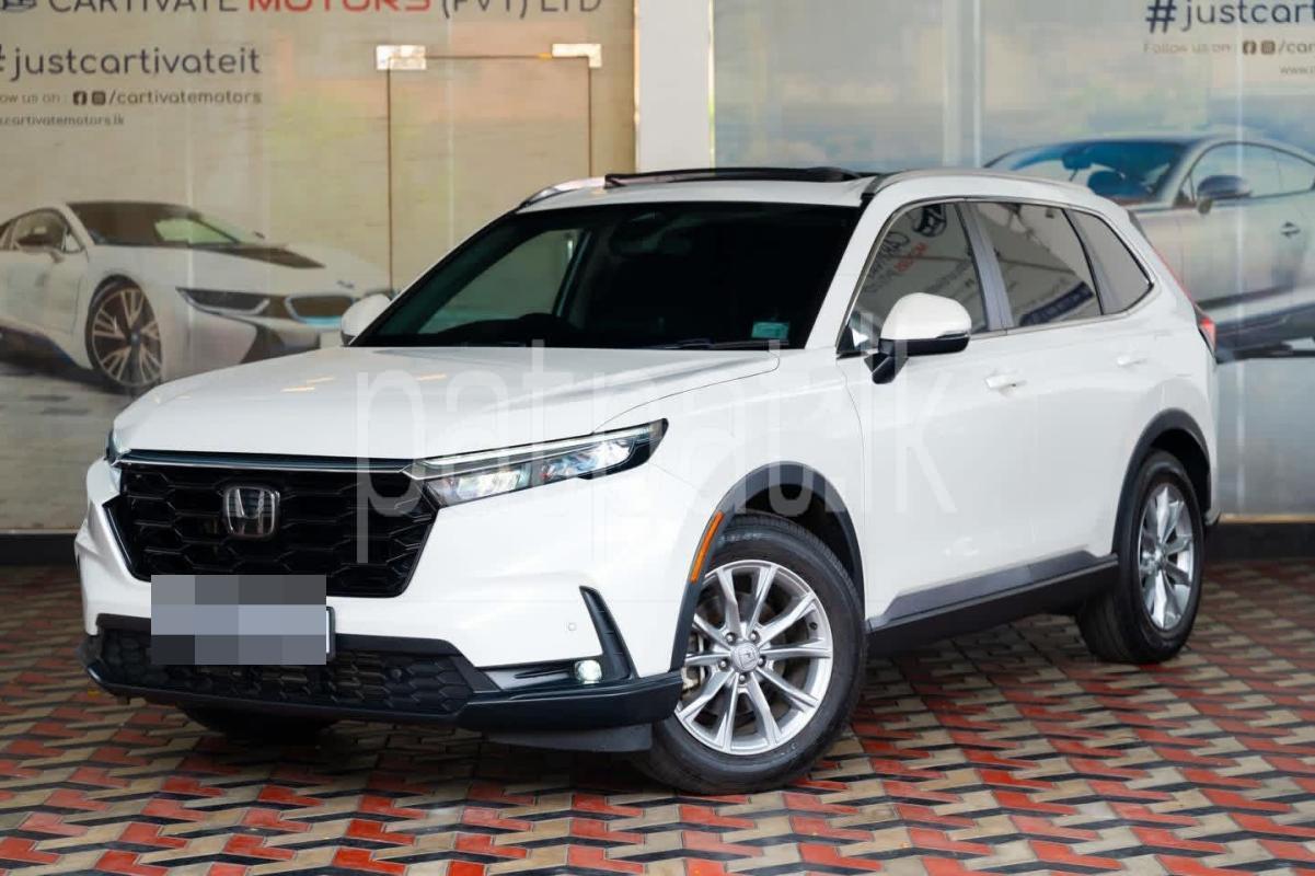 Advertisement image 1