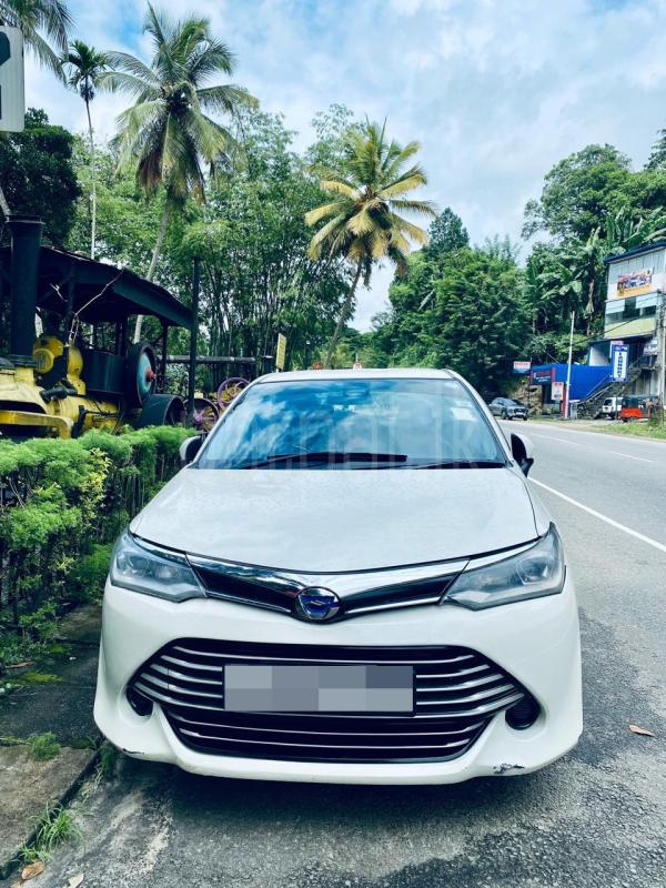 Advertisement image 1