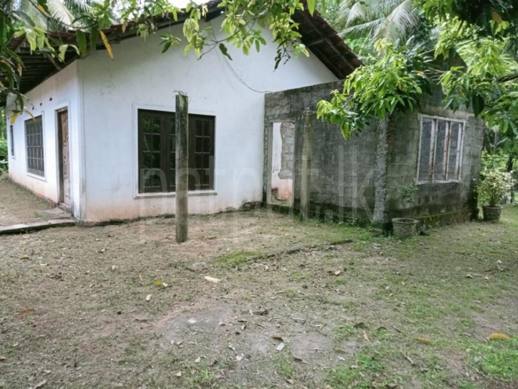 House for Sale in Veyangoda ads-image-1