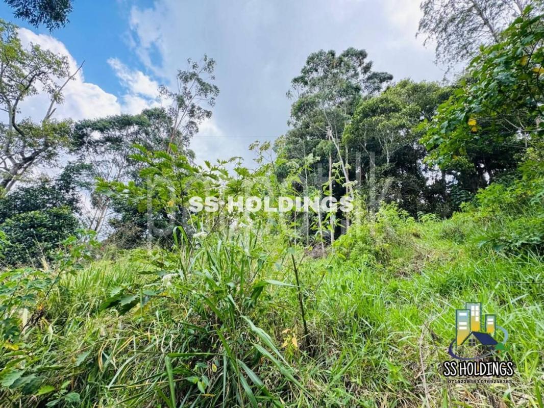 Commercial Land for Sale in Nuwara Eliya