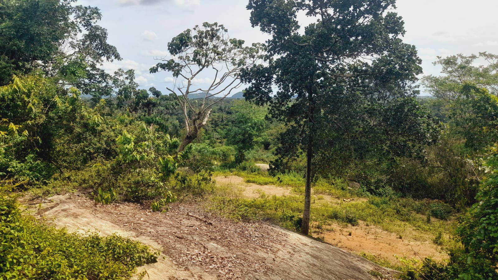 Agricultural Land for Sale in Dompe