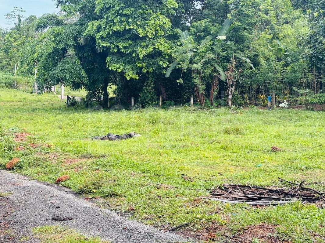 Commercial Land for Sale in Morontuduwa