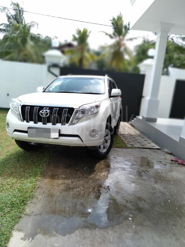 Advertisement image 1