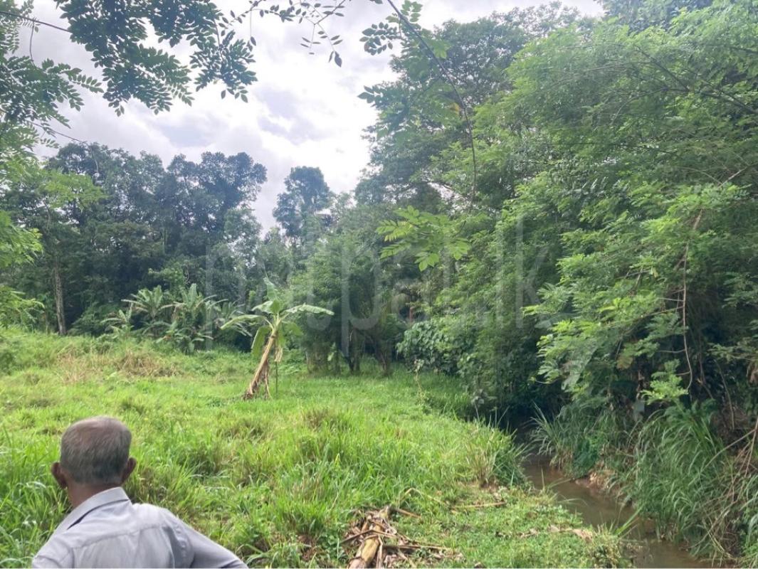 Residential Land for Sale in Gampola ads-image-1