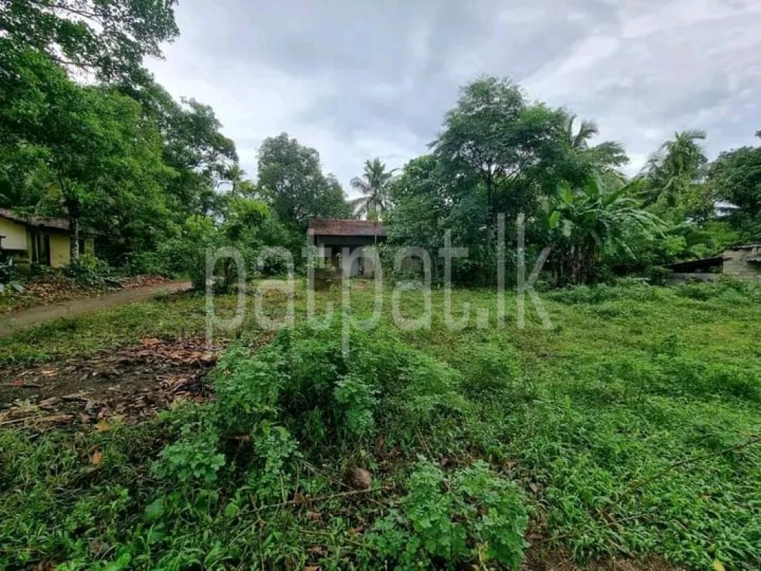 Advertisement image 1