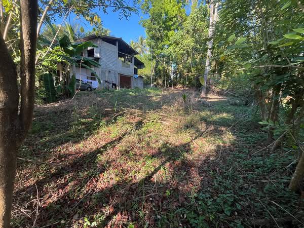 Commercial Land for Sale in Kegalle ads-image-1