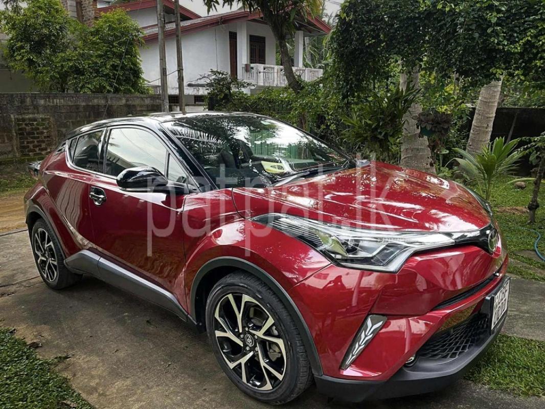 Advertisement image 3