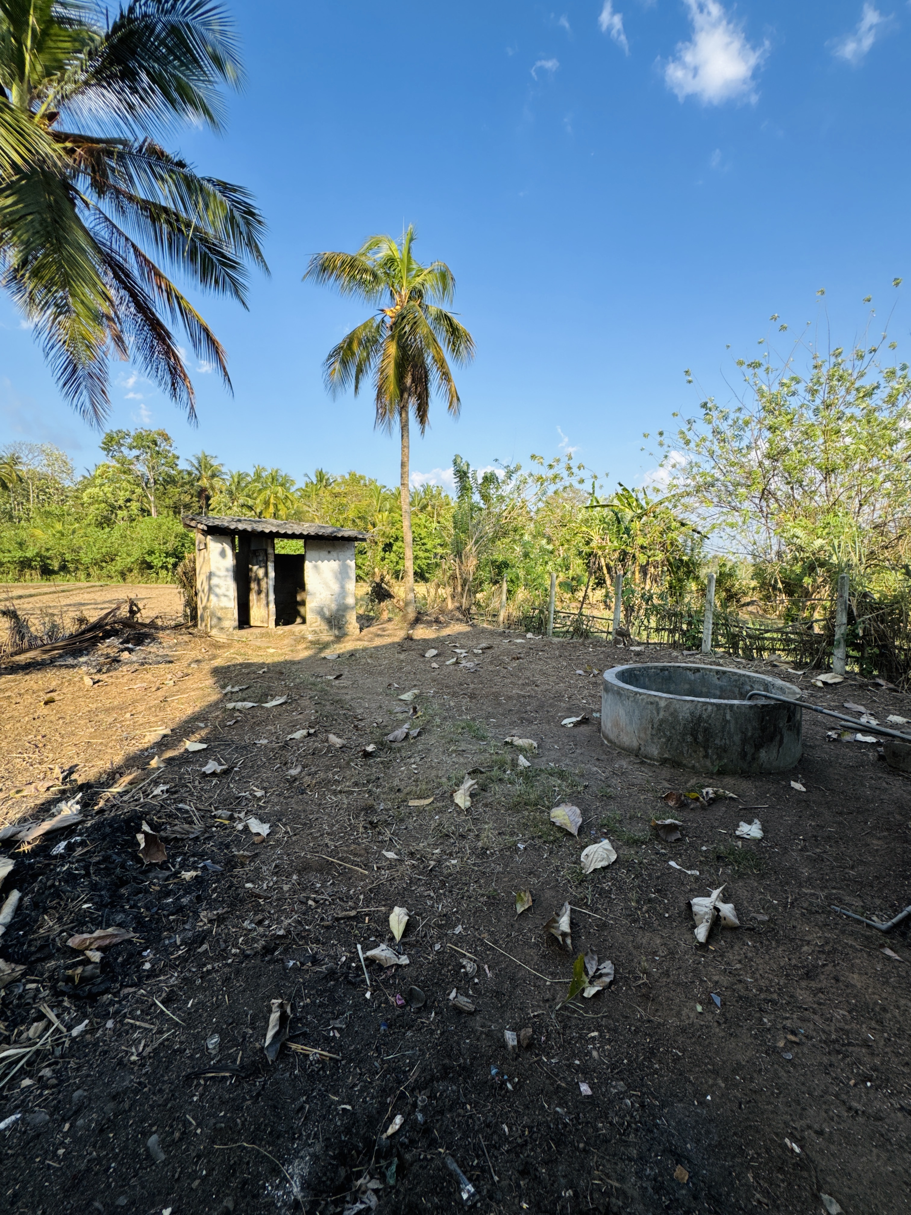 Residential Land for Sale in Giriulla