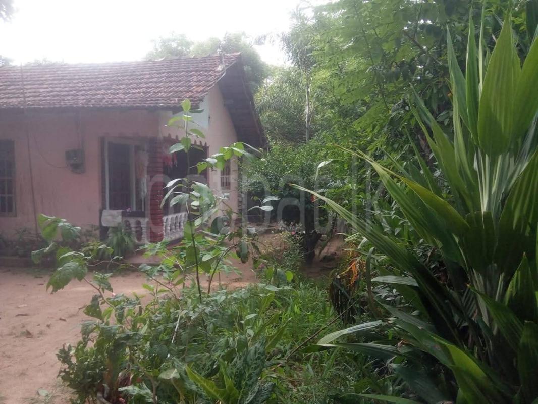 House for Sale in Divulapitiya ads-image-1