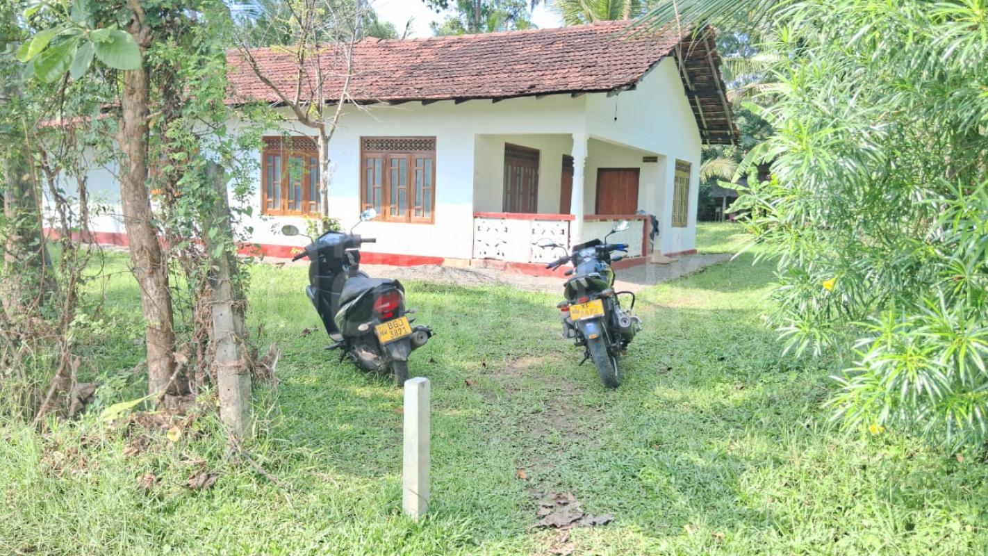 Advertisement image 1