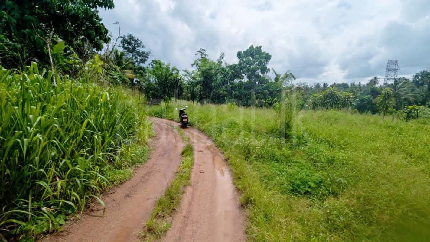 Residential Land for Sale in Nittambuwa