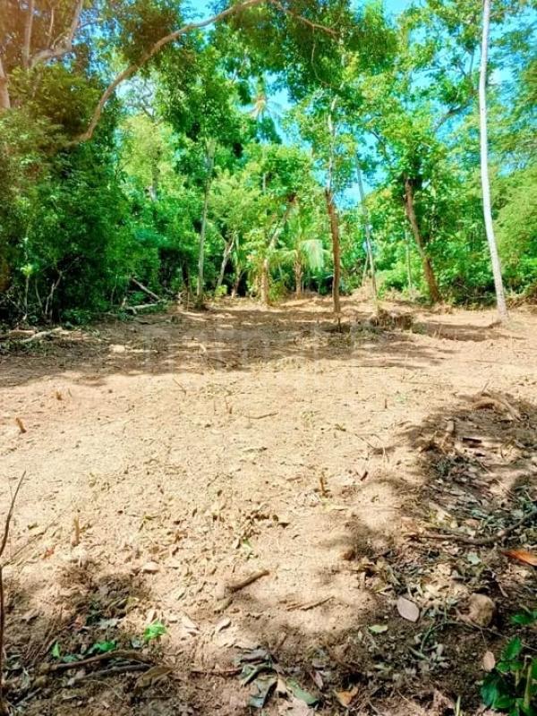 Commercial Land for Sale in Beliatta