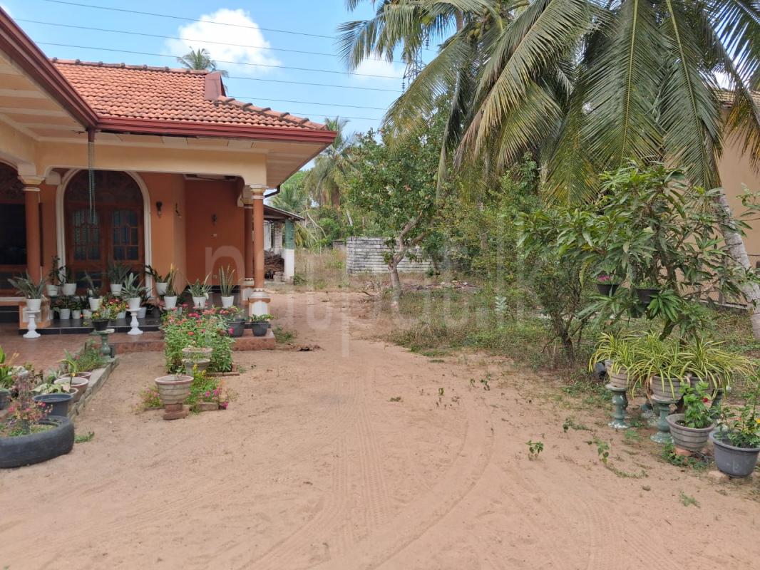 House for Sale in Nattandiya