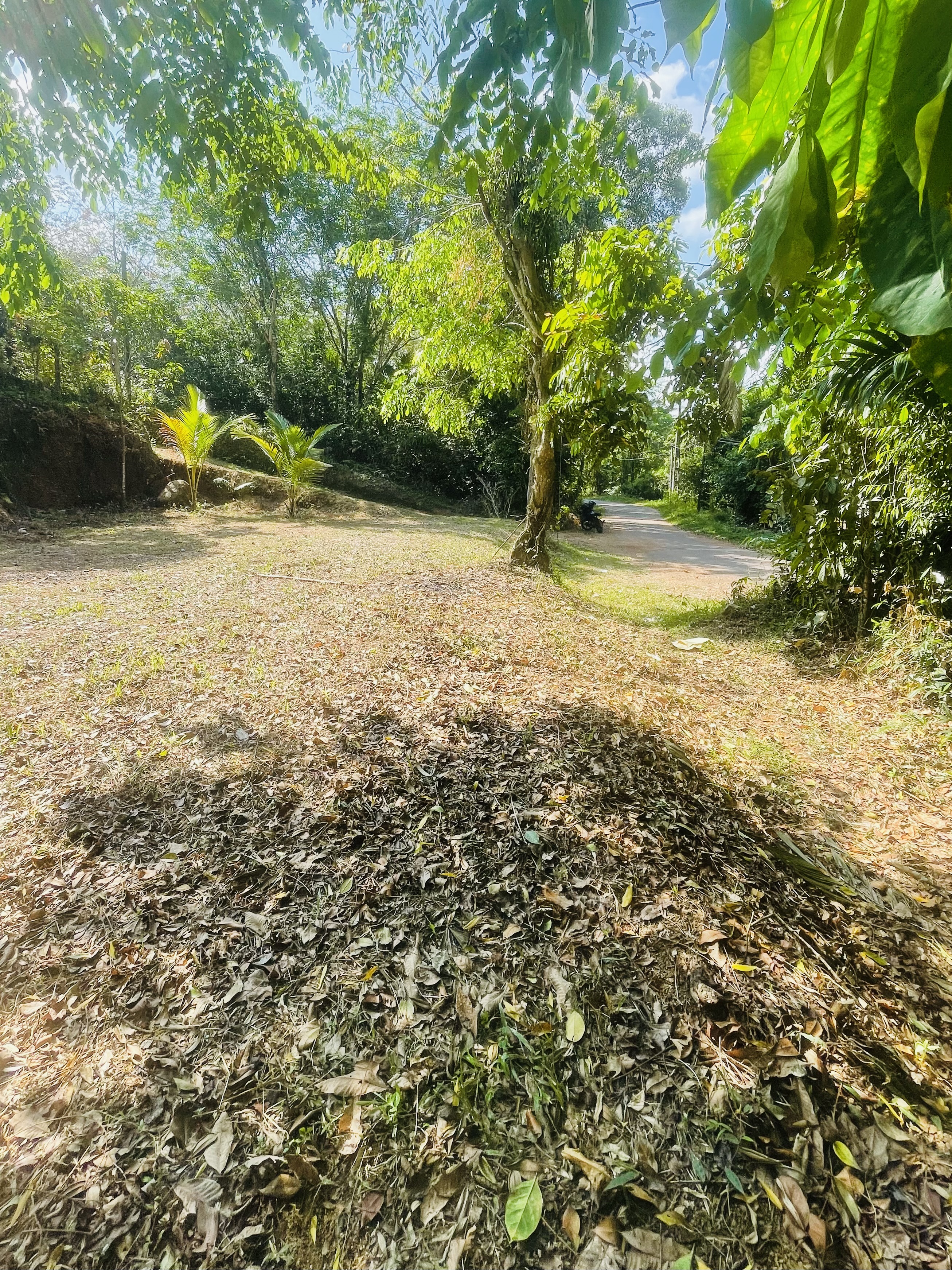 Residential Land for Sale in Kalutara ads-image-1