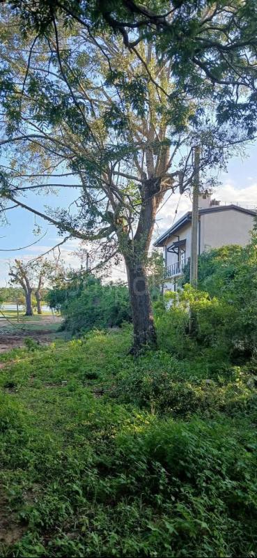 Residential Land for Sale in Tissamaharama