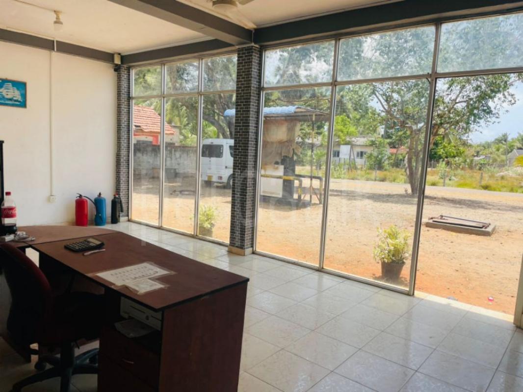 Advertisement image 6