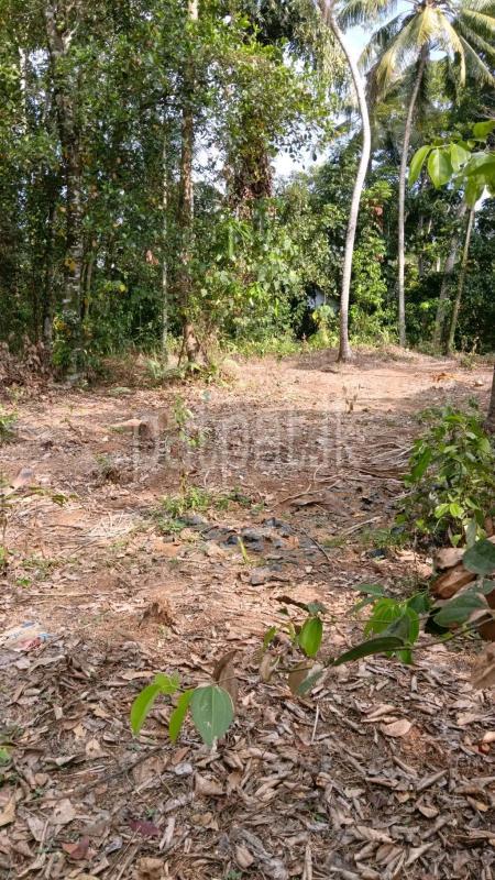 Residential Land for Sale in Ragama