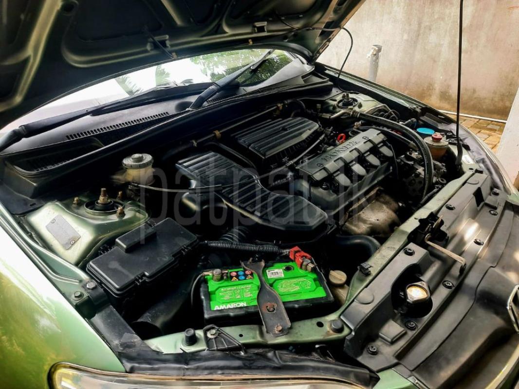 Advertisement image 5