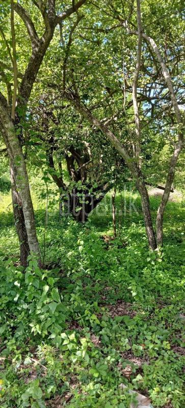 Residential Land for Sale in Kataragama