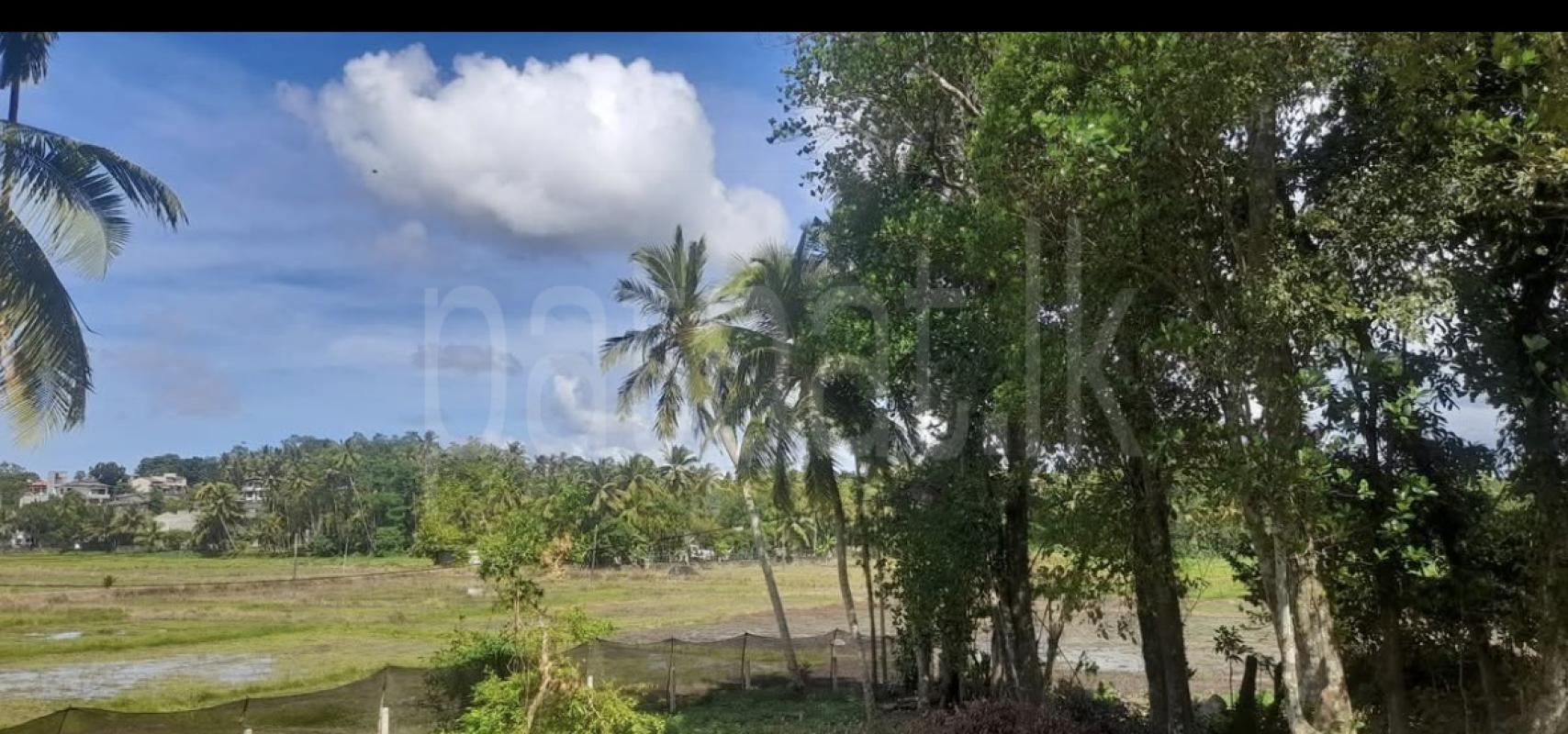 Commercial Land for Sale in Wanchawela
